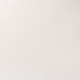 WN  TITANIUM WHITE (OPAQUE WHITE)